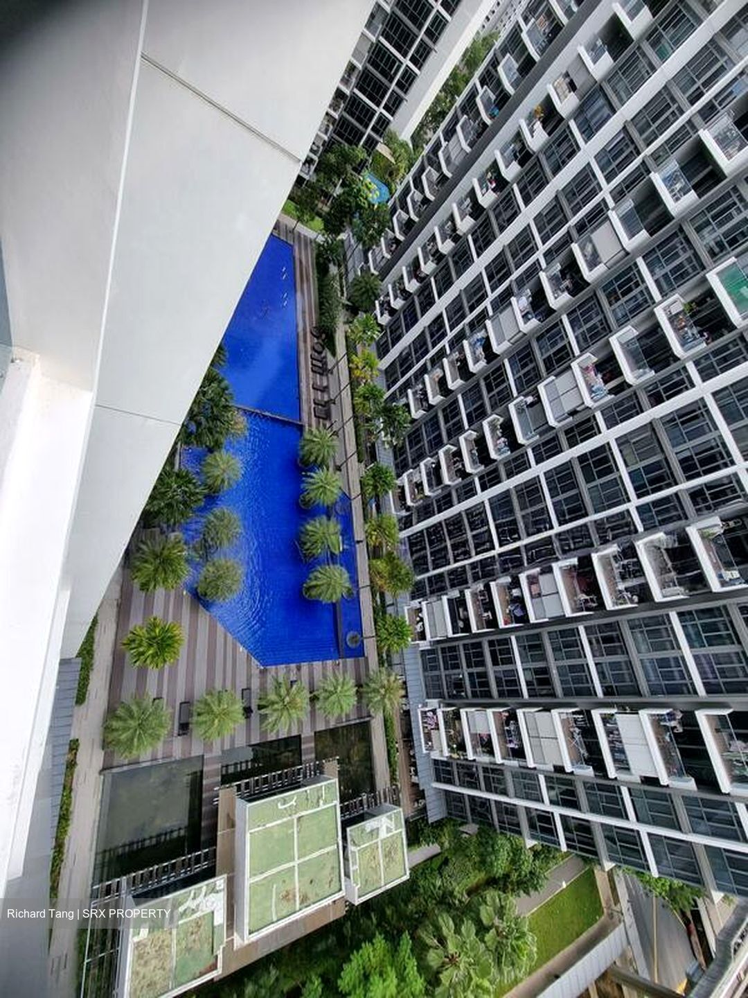 La Fiesta (D19), Condominium #504340401